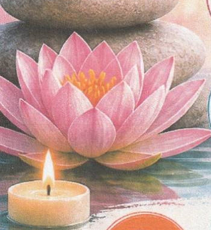 Fleur de lotus, galets empilés et bougie posés au bord de l'eau